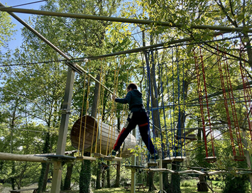 Comment choisir et différencier nos 2 parcs accrobranche ?